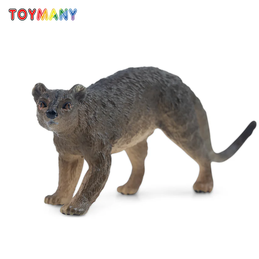 Kids Toys Latest - Toymany symulacja Fossa Madagaskar Model zwierzęcia