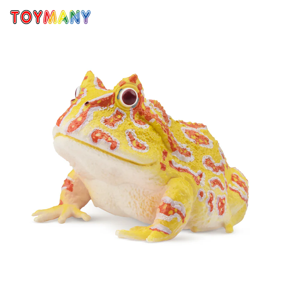 Kids Toys Latest - Zabawka Symulacyjna Żaba Rogata Argentyńska Reptilia