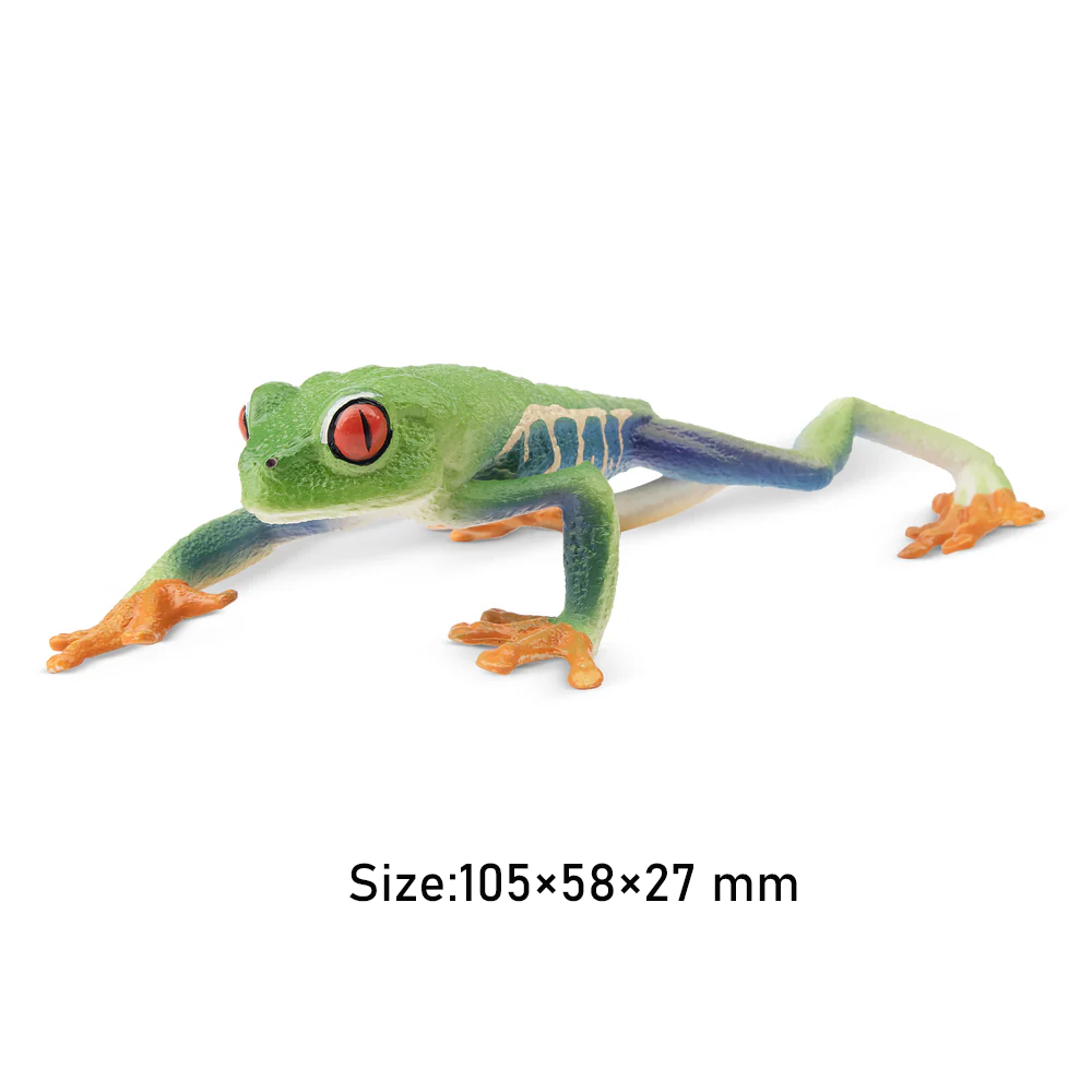 Toymany Symulacja Czerwonocze  – Kids Toys Latest recenzja i cena