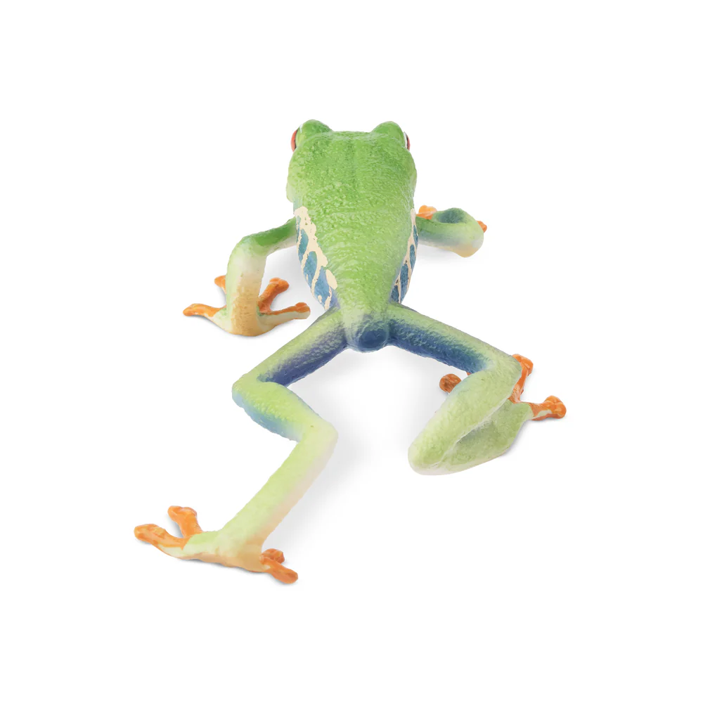 Toymany Symulacja Czerwonocze  – Kids Toys Latest recenzja i cena