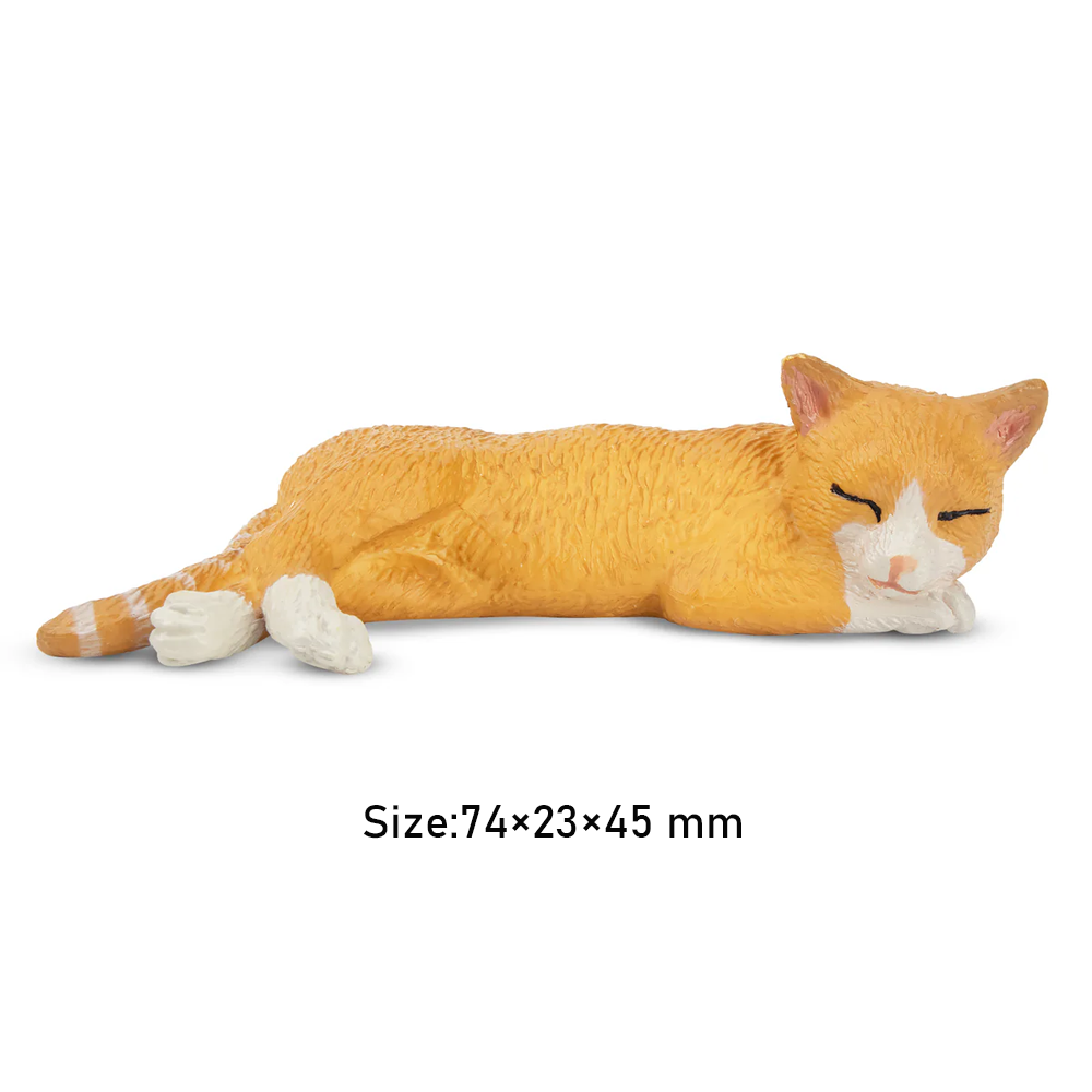 Toymany symulacja leżący pomar – Kids Toys Latest recenzja i cena